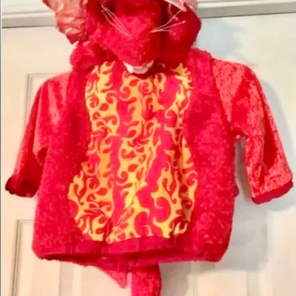 Costume dragon baby size 24 months dress up Celebration Halloween - Picture 4 of 8